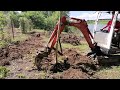 Stumps out, cleaning bank of pond