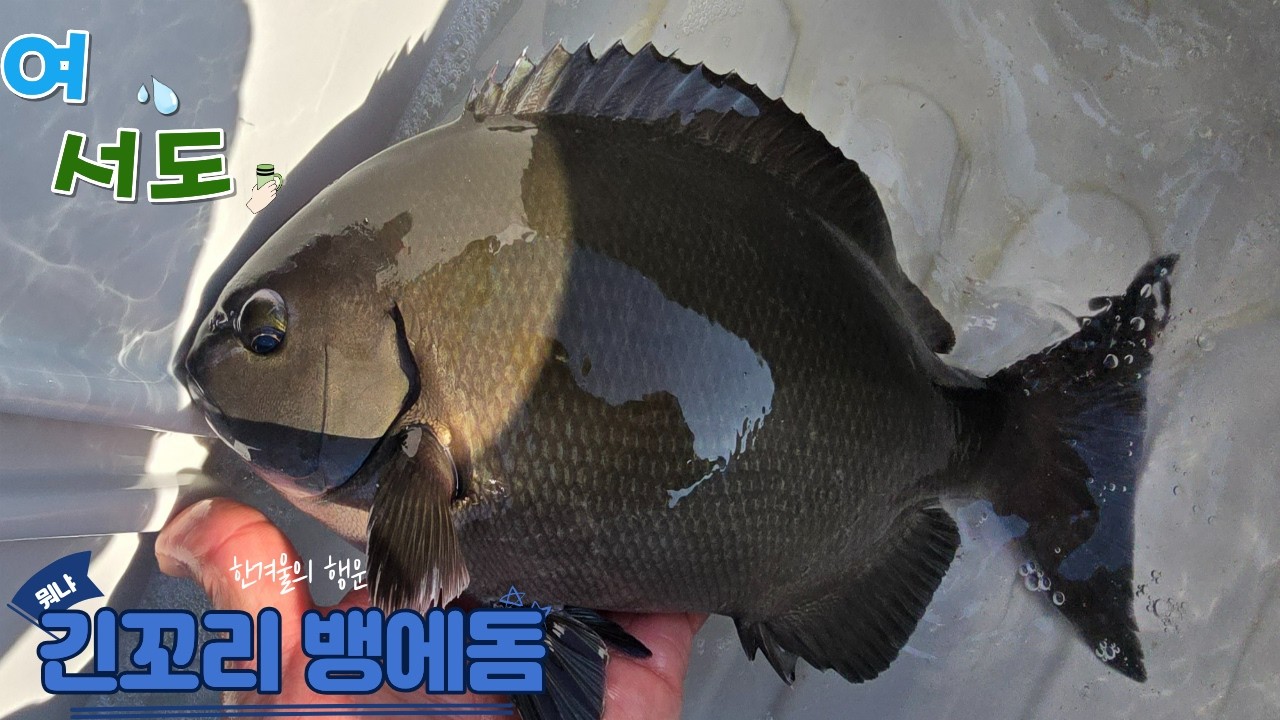 여서도 무생이안통