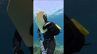#mallorca #cleanup #freediving #treasure #dji