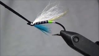 White Wing Blue Charm