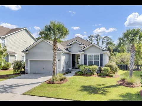 480 Turnstone Street, Mount Pleasant, SC home video tour