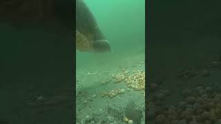 Is this our best take ever?