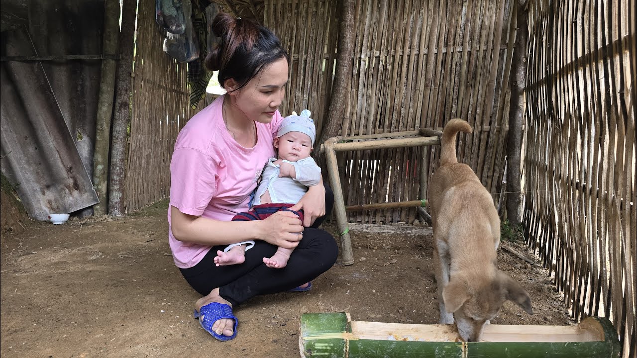 Mother and son went into the forest to pick bamboo shoots to sell ...