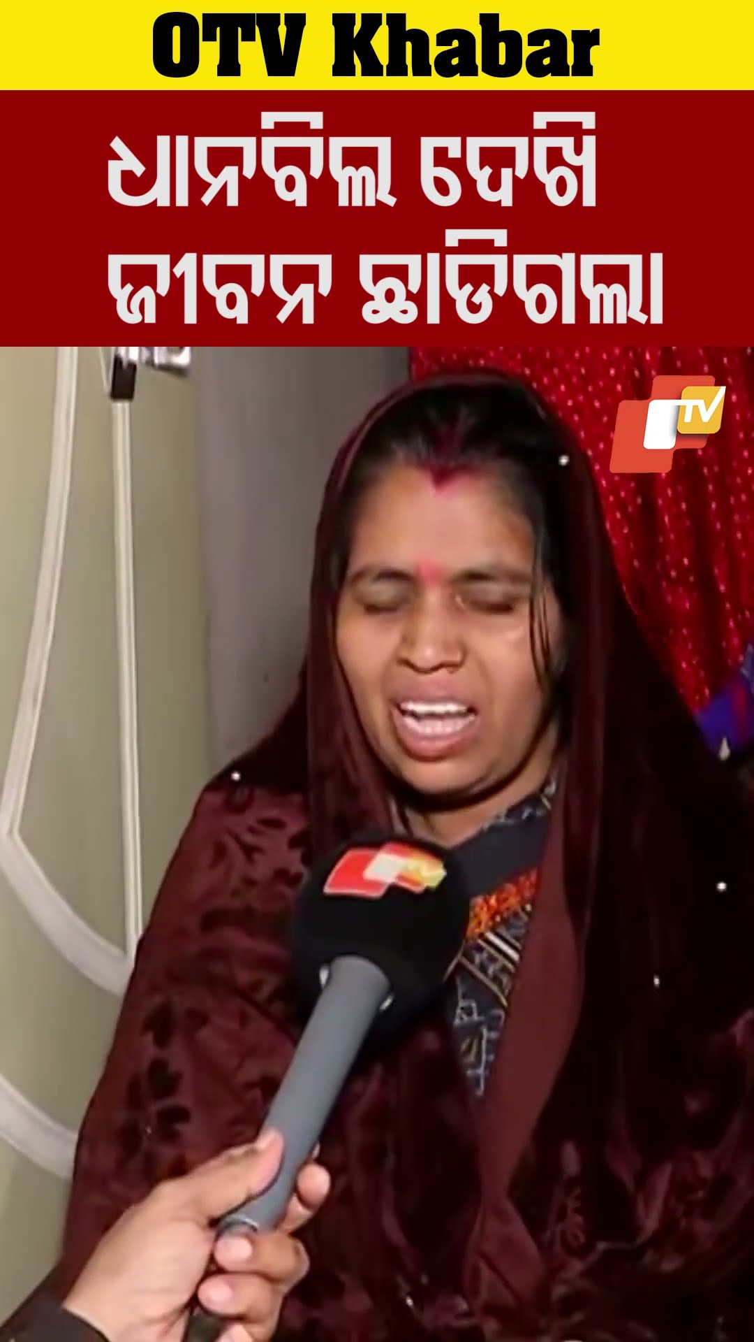 ଧାନ ବିଲ ଦେଖି ଜୀବନ ଛାଡ଼ିଗଲା #odisha