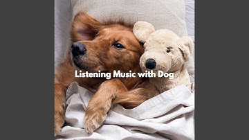 Debonair Music for Forgetting Mirrors