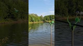 Бешеная поклевка плотвы!🎣🤟😎 #fishing #рыбалканаозере #рыбалка