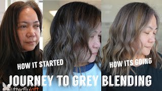 Hair Transformations with Lauryn: Realistic Journey to Grey Blending Ep. 192