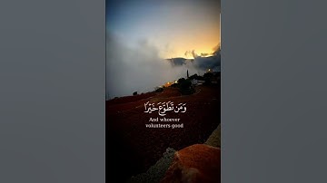 قرآن محمد ايوب سورة البقرة #القارئ_محمد_ايوب #سورة_البقرة  #tiktok #greenscreen