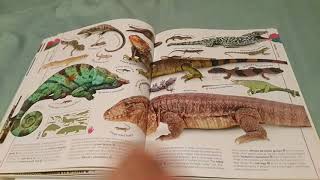 the animal book a visual encyclopedia of life on earth