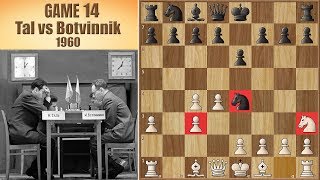 Master Of Home Preparation Tal Vs Botvinnik 1960. Game 14