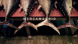 Mercamadrid - La ciudad que nunca duerme