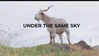 Under the same sky | Documentary film | trailer 