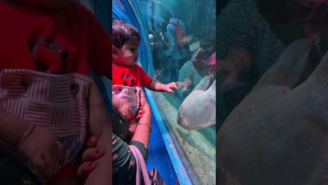 🐠Madurai Kadal Kanni Exhibition 2024🧜‍♀️ 