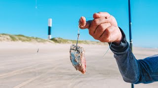 Usando postas de papa-terra para pescar peixe grande na beira de praia