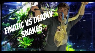 Fisherman handles deadly snakes! #finatic