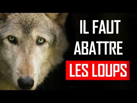 Vidéo: Qu'est-ce que tue-loup ?