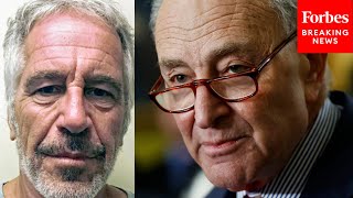 Chuck Schumer Introduces Bill Directing DOJ, AG Bondi To Release Epstein Files