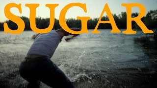 Sugar- A Short Film (Shot on Sony FX6)