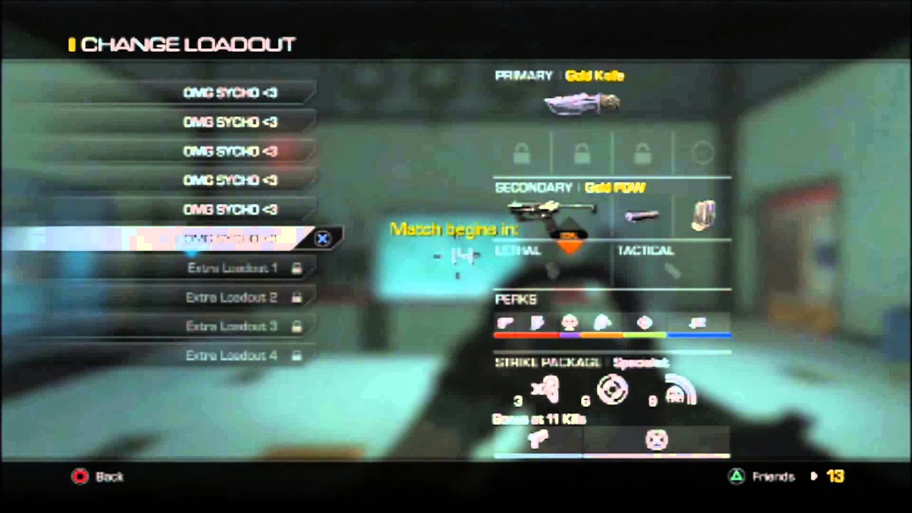 Best Setup for Gold PDW Call of duty ghosts