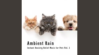 Calming Daybreak Rain Sound