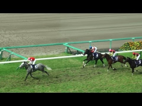 HD)第54回宝塚記念 2013・現地撮影-ゴールドシップ Takarazuka
