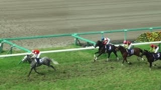 アイドルホース【ゴールドシップ/第55回宝塚記念】レギュラー アイドルホースぬいぐるみ 12世代。｜デカル(ΦωΦ＊)のアイドル