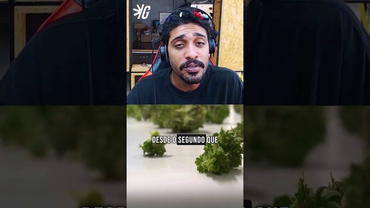 Cuidados essenciais antes de colher suas flores