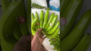 Banana Vietnam for export #banana #cavendish #luufruits #dubai #middleeast