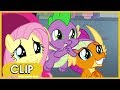 Youtube Thumbnail title