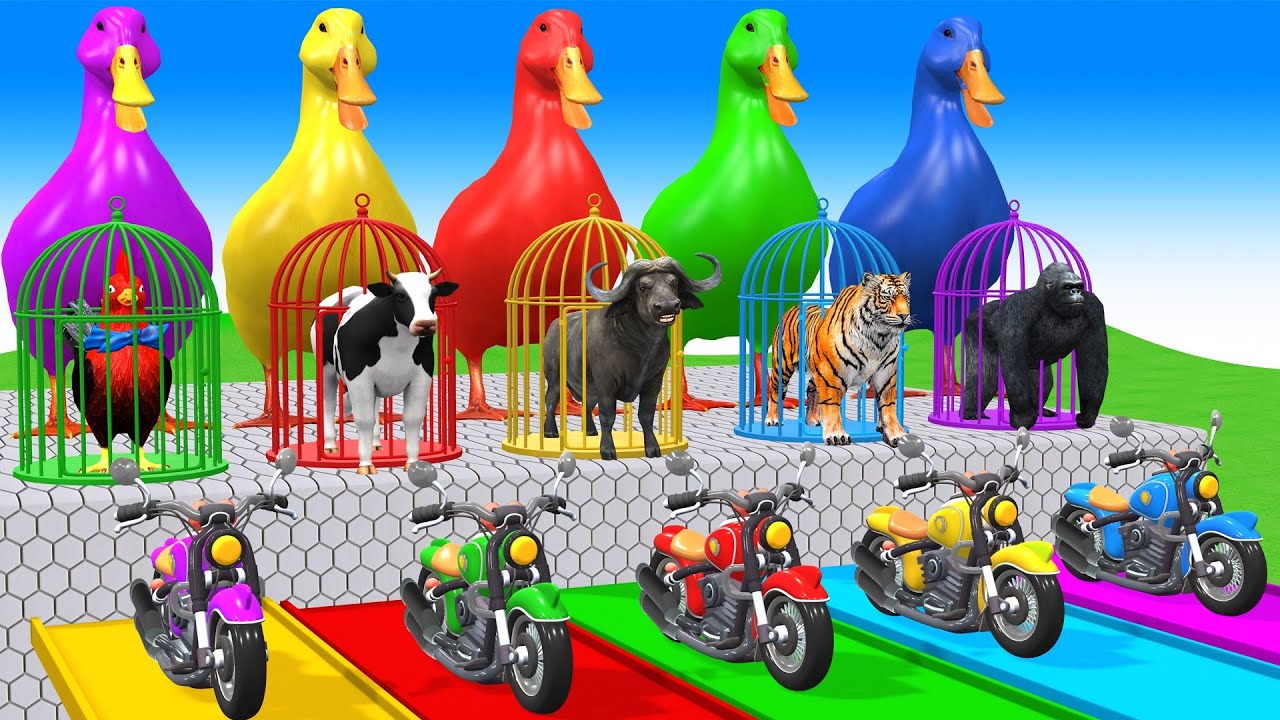 Long Slide Game With Cow Elephant Gorilla Hippopotamus Tiger 3d Animal Game Funny 3d Animals