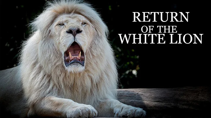 The Return of the White Lion - Teaser trailer - DayDayNews