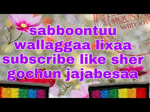 Hundaa Yoo Dhagefachu Dhadhabdan Daqiqaa Tokko Ilalaa Dhamsan Keessaa Qaba Hordoftotaa Kof