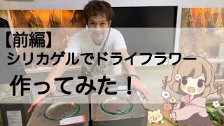 【前編】シリカゲルでドライフラワーを作るお