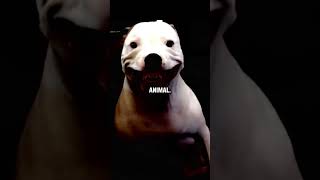 El perro que se ríe | Relato de Terror #terror #leyendas #relatosdeterror