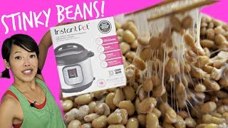 DIY Instant Pot Natto  Homemade Fermented Stinky Soybeans