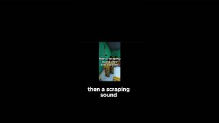 A Voicemail in Her Own Voice Don't Turn Around
