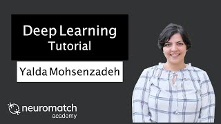 Deep Learning Tutorial 3 Video 2