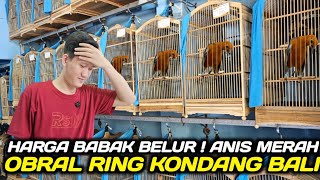 Download Lagu GILA SERASA MIMPI ! NEMU ANIS MERAH RING KONDANG DARI BALI DIJUAL HARGA PEMIKAT HARI INI MP3