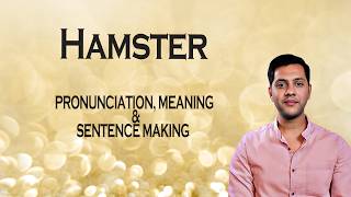 Hamster - Meaning