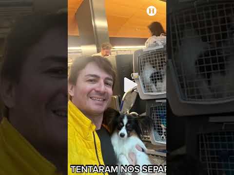 Video: ÚLTIMAS NOTICIAS: Delta ya no hará que las mascotas vuelen como equipaje