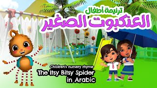 The Itsy Bitsy Spider Arabic - العنكبوت الصغير