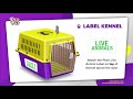 4 Steps to Prepare Pet Carrier for Airline Travel in-Cargo area of Airplane by PetsOnAirplanes.com