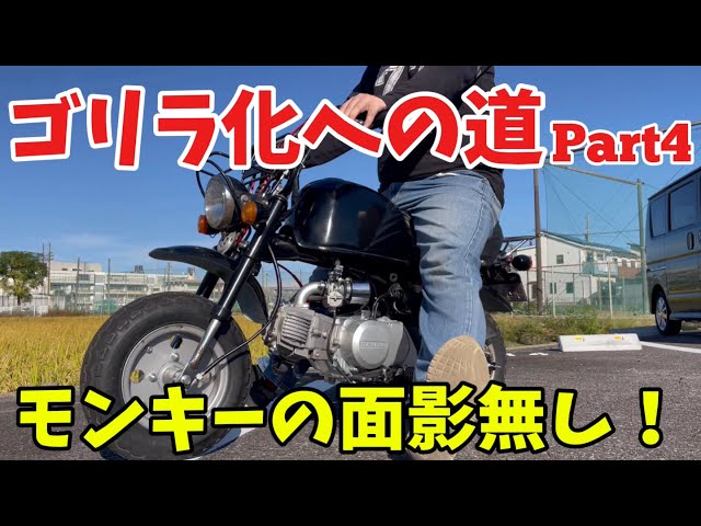 モンキー】ゴリラ化への道…ようやくゴリラ化完成！【4mini】 - YouTube