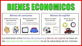 ECONOMIC GOODS and their classification