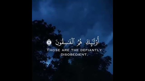 ارح سمعك 🤍🤍 راحه نفسيه - ستوريات انستا دينيه حالات واتساب دينيه - تلاوه خاشعه ( ارح قلبك و سمعك )🍃