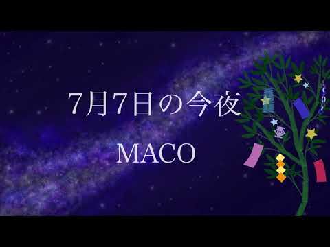 Maco 7月7日の今夜 歌詞 動画視聴 歌ネット