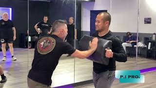 Krav Maga Defensive Solutions Close Protection Seminar