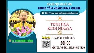 Tinh Hoa NIKAYA -  Cảm Thọ Dẫn Dắt Thế Giới !