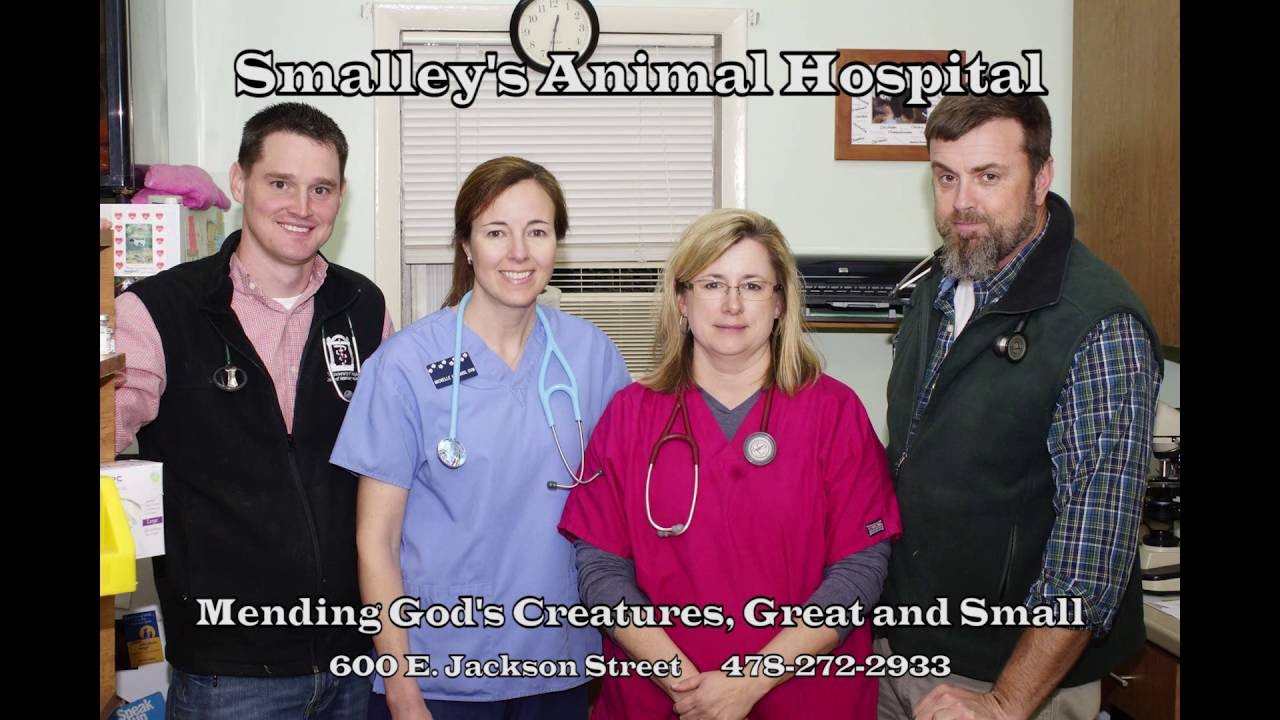 Smalley's Animal Hospital YouTube
