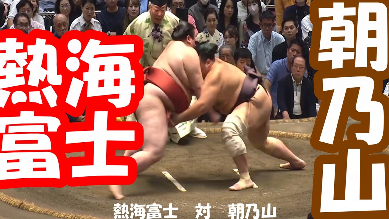 ジャスミンです。佐田の海 朝乃山 YouTube